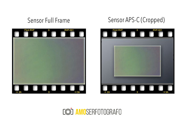 diferença_sensor_full_frame_cropado_apsc_amoserfotografo_blog_fotografia_diccas